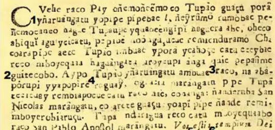 Nicolás Yapuguay Rembihai
